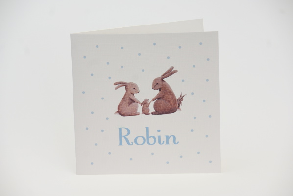 geboortekaartje robin lichtblauw